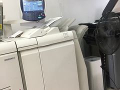 雷焰圖文設計制作 深耕上海，鑄就專業視覺與印刷服務典范